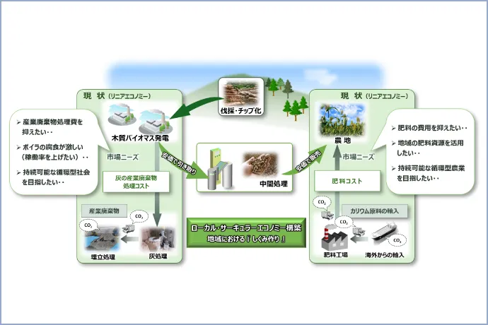 木質バイオマス灰の循環利用に関する研究