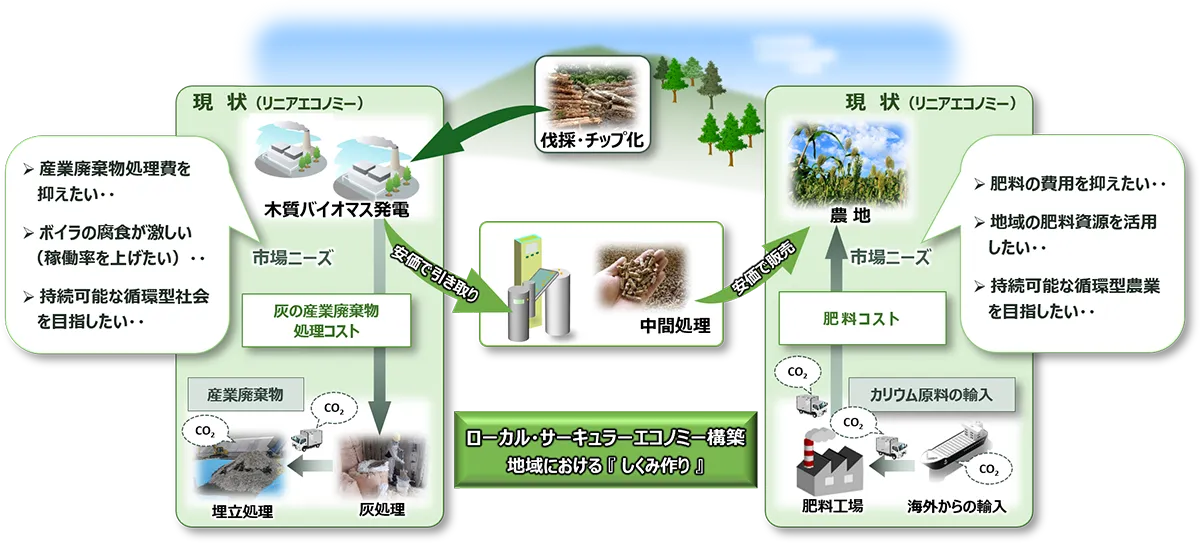 木質バイオマス灰の循環利用に関する研究